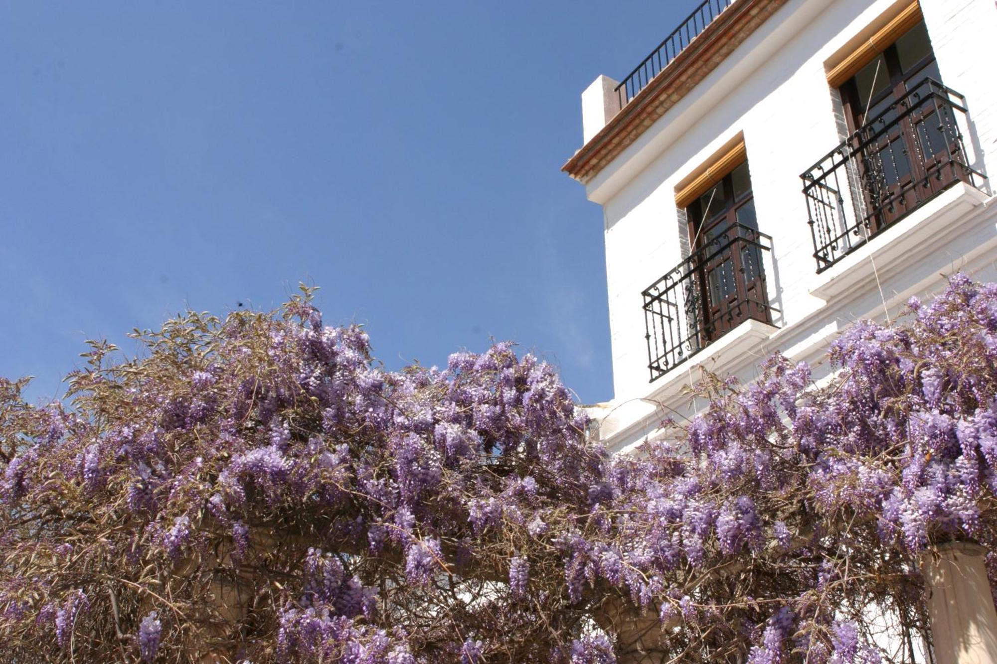 Carmen De La Alcubilla Del Caracol Ξενοδοχείο Γρανάδα Εξωτερικό φωτογραφία
